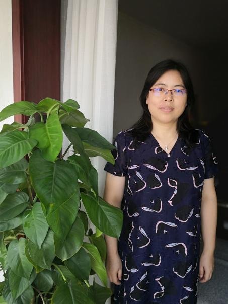 公开信息按发布时间滚动