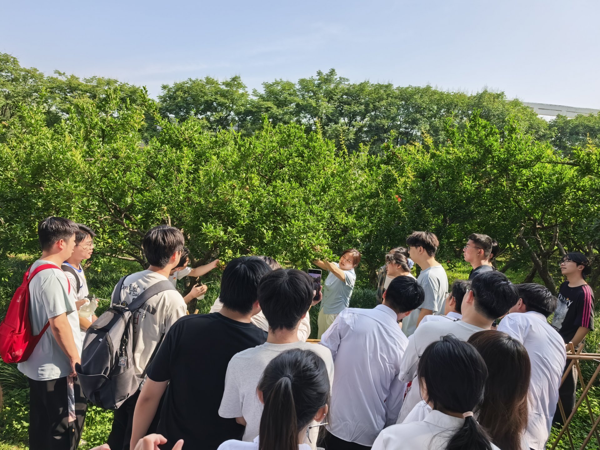 陕ICP备10002064号